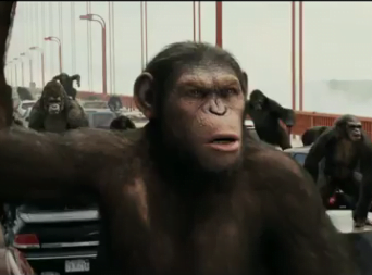 apes