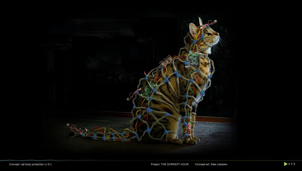 Faraday Cat