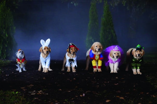 Spooky Buddies 1