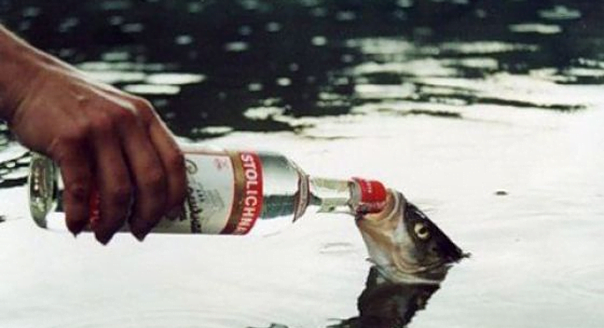 fishpished