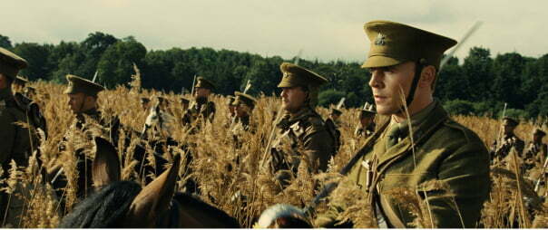 warhorse.crop