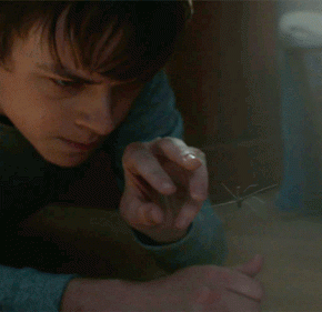 spider