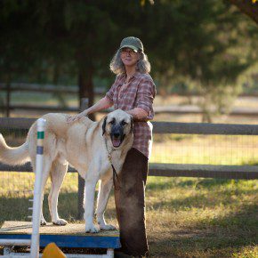 The Lucky One