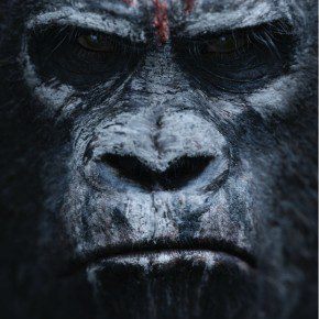 DOTPOTA_Ape4