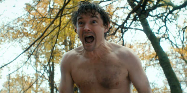 the-stag