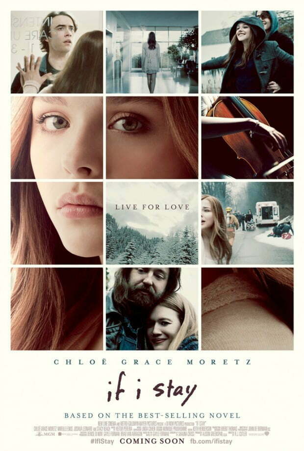 IFIStay_Main_INTL_RGB_2764x4096_r1.indd