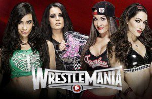 wwe-wrestlemania31-divas