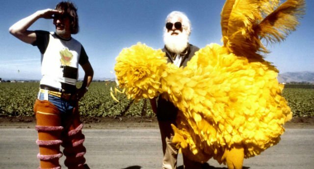 I_AM_BIG_BIRD