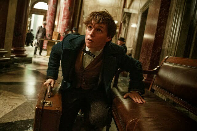 fantastic-beasts-Newt