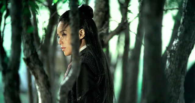 the-assassin