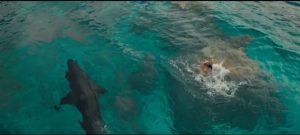 The Shallows   Shark