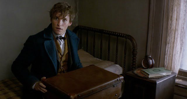 Fantastic Beasts And Where To Find Them Newt