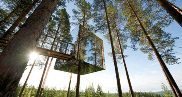Mirror-Tree-House