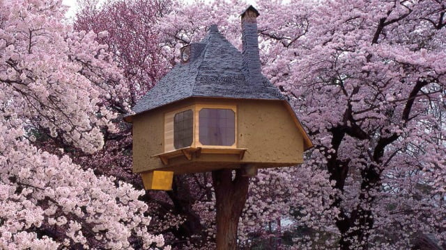 Teahouse Tetsu
