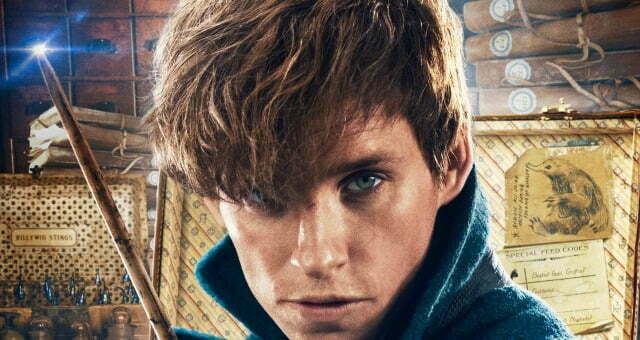 fbwtft-newt