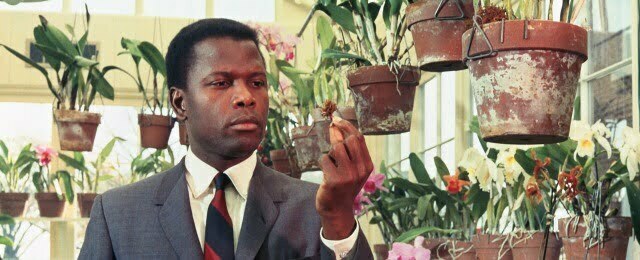 in-the-heat-of-the-night-sidney-poitier