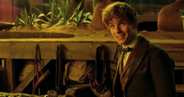 fantastic-beasts-and-where-to-find-them-redmayne