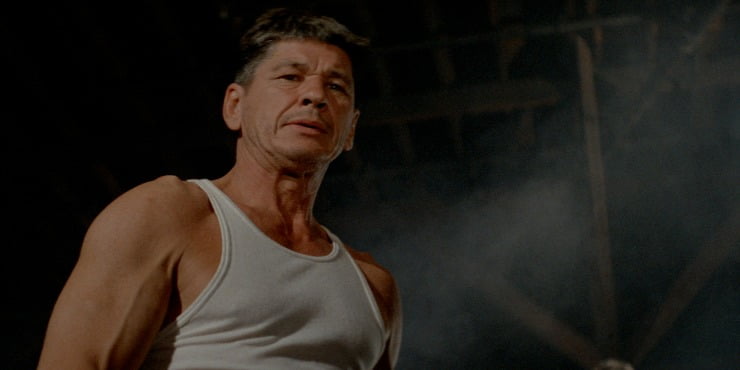 Hard Times (1975)