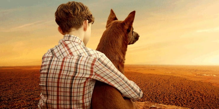 Win Red Dog: The Early Years On DVD