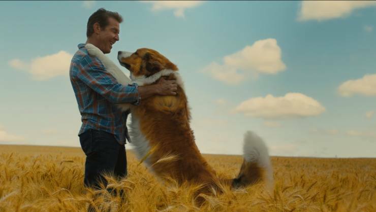 A Dog’s Journey First Trailer Friendships Transcend A  Lifetime