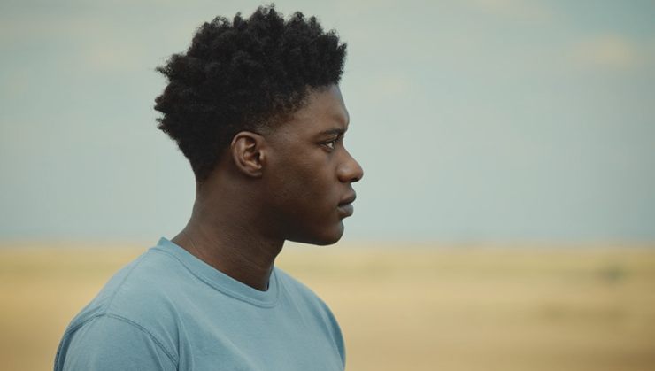 The Last Tree ( Sam Adewunml)
