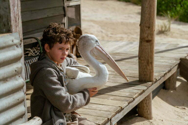 Digital Review – Storm Boy (2020)