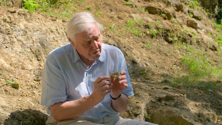 David Attenborough_ A Life on Our Planet (2020)