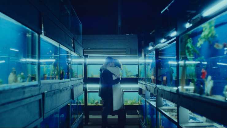 Little Fish (2021)