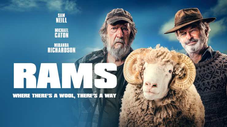 Rams_Banner