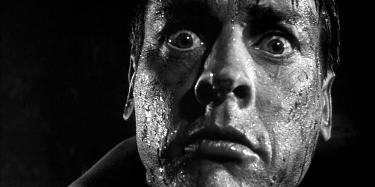Invasion of the Body Snatchers_(1956)