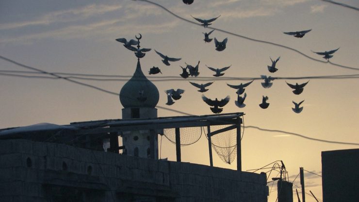 From Fadia's Tree (2022)
