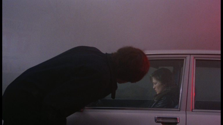 Indentification of a woman (1982))