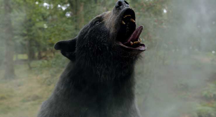 cocaine Bear released in May 2023 to own from Universal Pictures HE UK