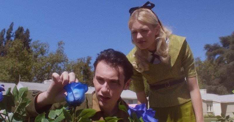 The Blue Rose set to premiere at Pigeon Shrine FrightFest 27th August