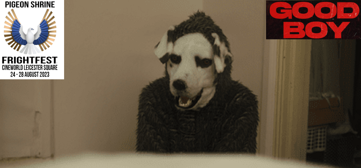 good boy