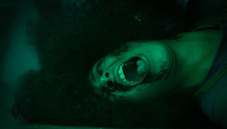 Perpetrator now on Shudder read our review