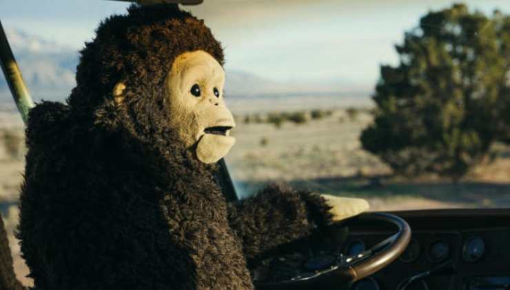 A monkey puppet riding a vehicle