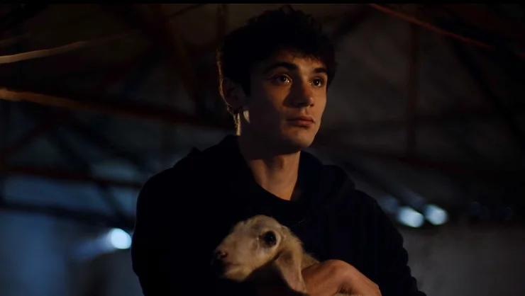 Young man with a lamb in Meat