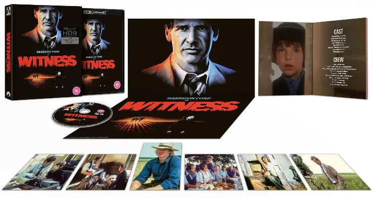 Arrow Video Witness 4K Artwork