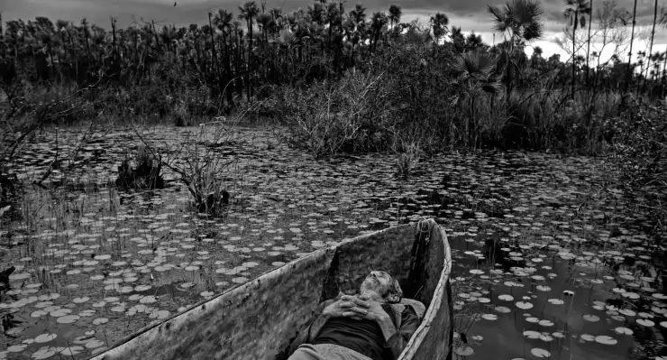 To The West in Zapata review