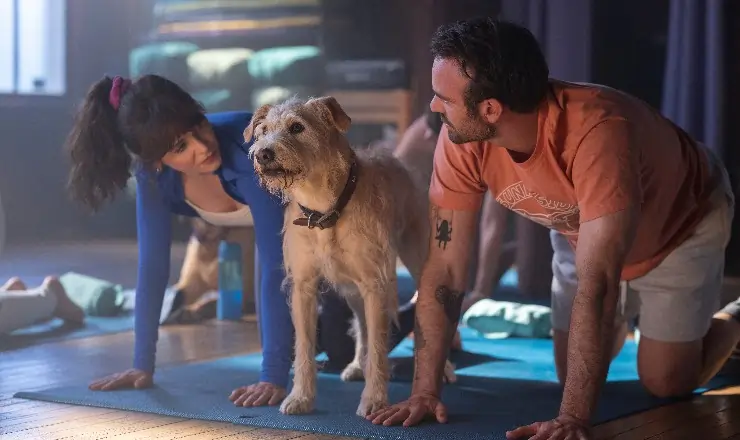 A man and woman try to help their dog