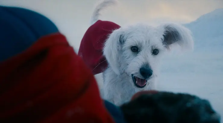Krypto the super dog in Superman