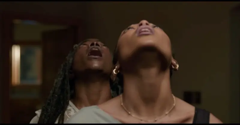 2 women look up in Noseeums