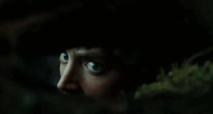 Elijah Wood hiding as Frodo Baggins in The Lord Of The Rings: Fellowship Of The Ring.
