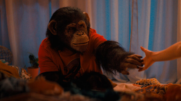 Monkey holding out its hand to human