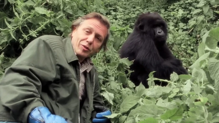 A Gorilla Story David Attenborough