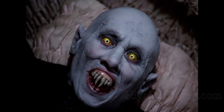 Salem's Lot Arrow Video Review