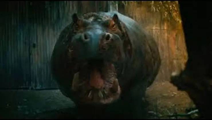 Hungry Hungry Hippos in Hungry trailer
