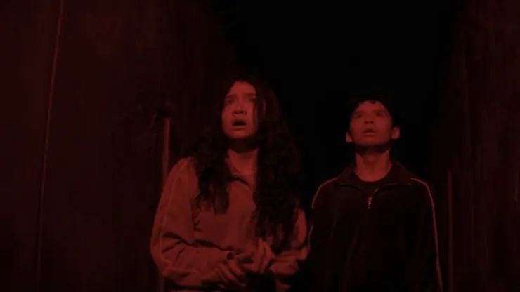 Twins stare in the darkness