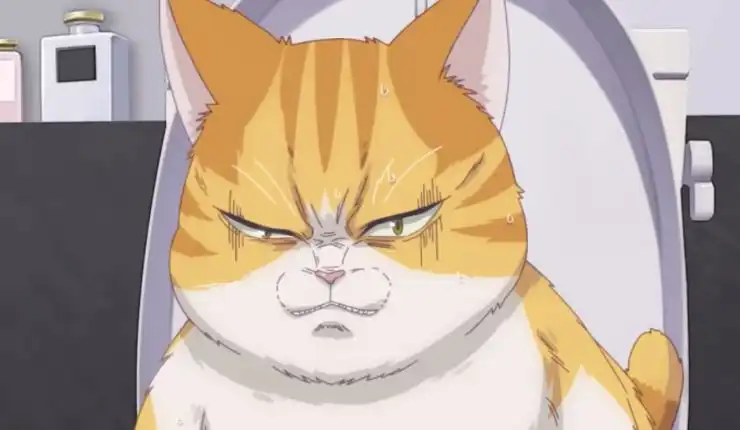 A very angry cat from Crunchyroll anime Eleceed